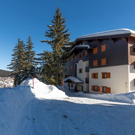 Residence La Foret Des Rennes - Les Saisies Villard-sur-Doron Eksteriør billede